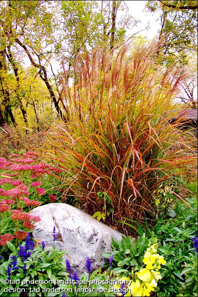 Ispirazione per un giardino bohémian esposto in pieno sole davanti casa in autunno