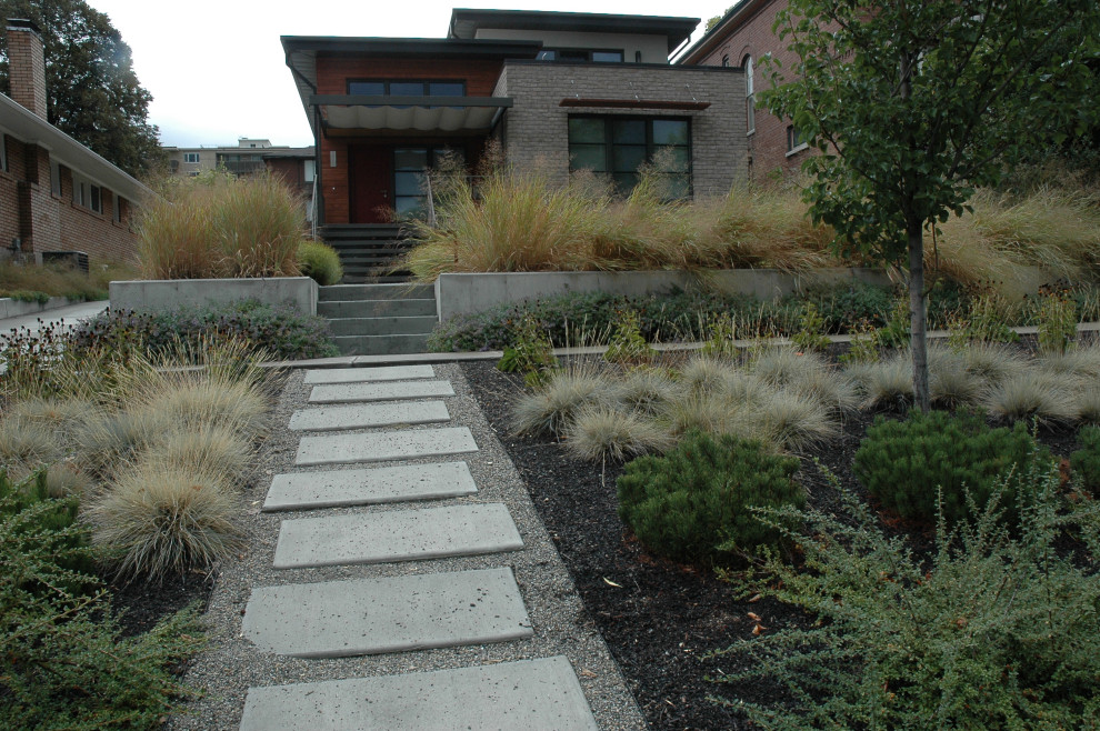 Идея дизайна: солнечный, осенний засухоустойчивый сад среднего размера на переднем дворе в стиле модернизм с дорожками, хорошей освещенностью и покрытием из гранитной крошки