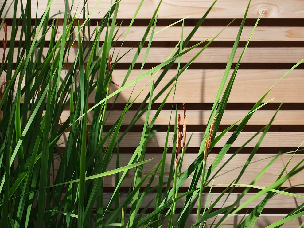 Modelo de jardín minimalista pequeño en primavera en patio trasero con fuente, exposición parcial al sol y adoquines de hormigón