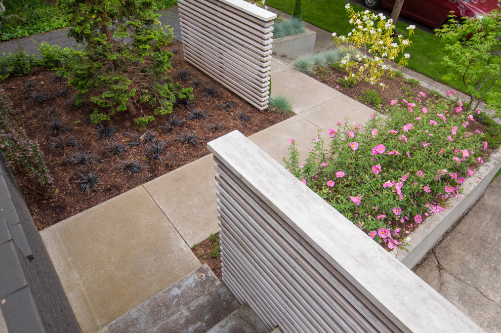 Idéer för en liten 50 tals formell trädgård i delvis sol framför huset på vinteren, med en trädgårdsgång och marksten i betong