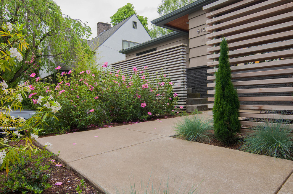 Idee per un piccolo giardino formale minimalista esposto a mezz'ombra davanti casa in inverno con un ingresso o sentiero e pavimentazioni in cemento