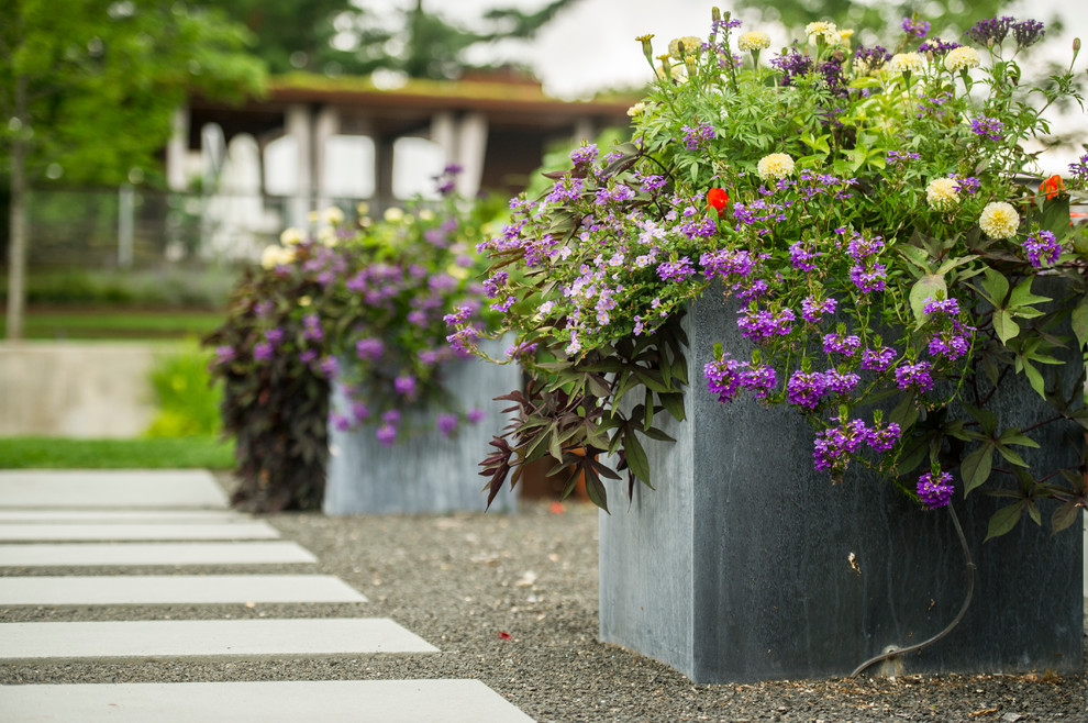 Пример оригинального дизайна: участок и сад среднего размера на заднем дворе в современном стиле с растениями в контейнерах, полуденной тенью и покрытием из каменной брусчатки