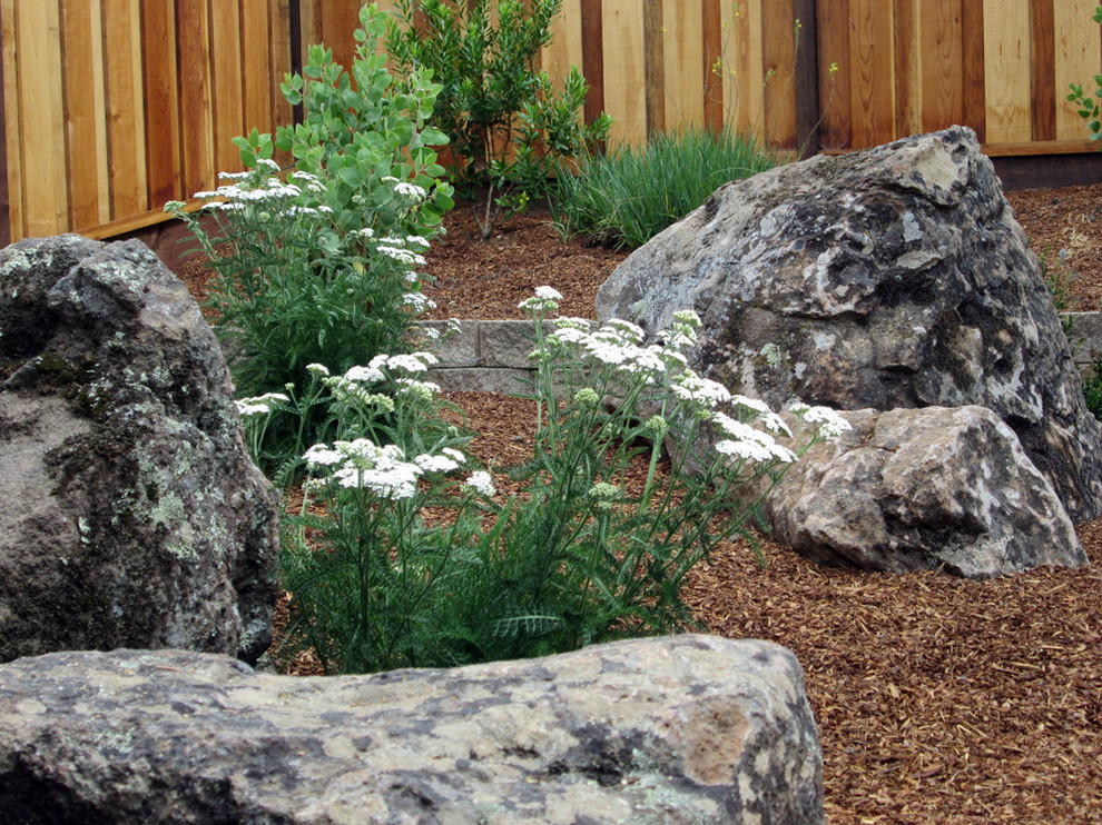 Inspiration pour un grand jardin potager arrière traditionnel l'été avec une exposition ensoleillée et un paillis.