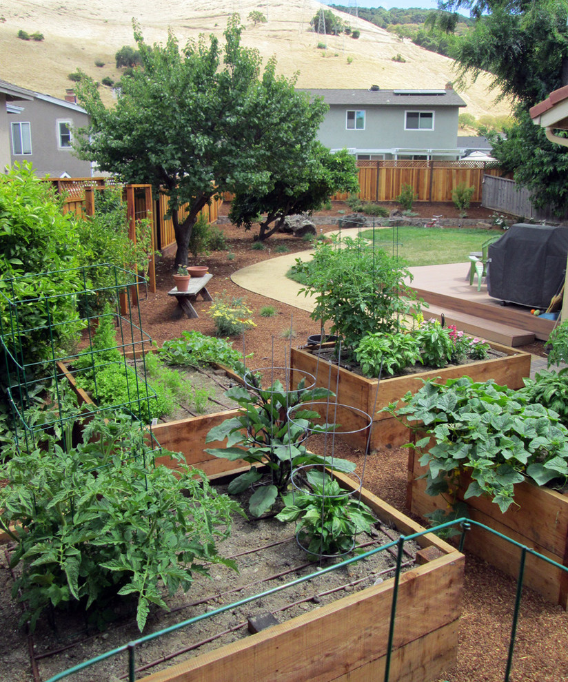 Cette image montre un grand jardin potager arrière traditionnel l'été avec une exposition ensoleillée et un paillis.