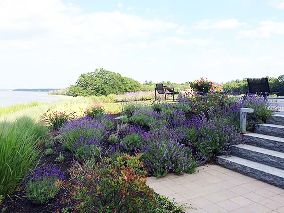 Esempio di un ampio giardino formale contemporaneo esposto in pieno sole in estate con un pendio, una collina o una riva e pavimentazioni in mattoni