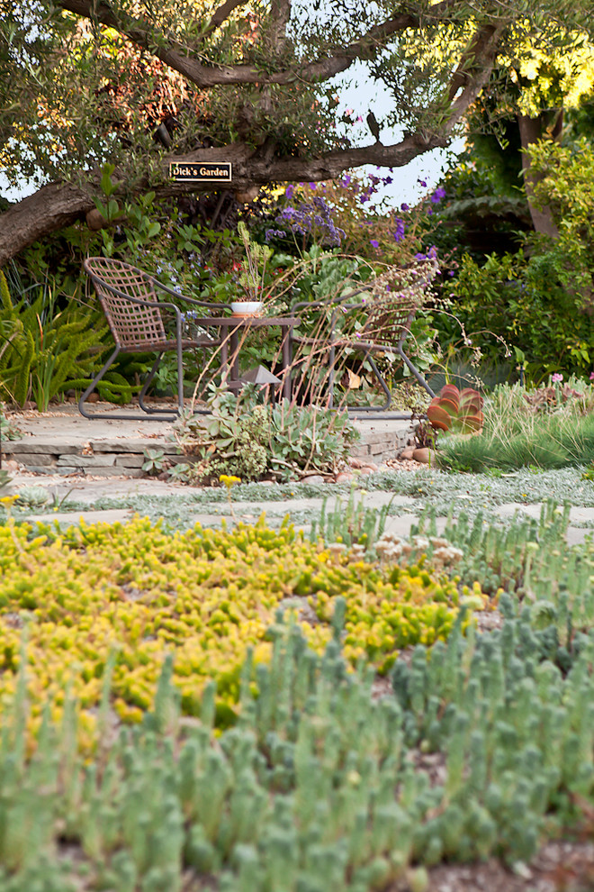 Inspiration for a contemporary xeriscape garden in Los Angeles.