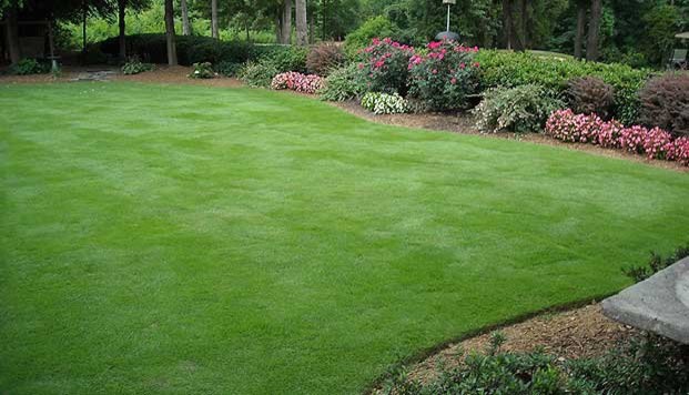 Design ideas for a traditional garden in Charlotte.