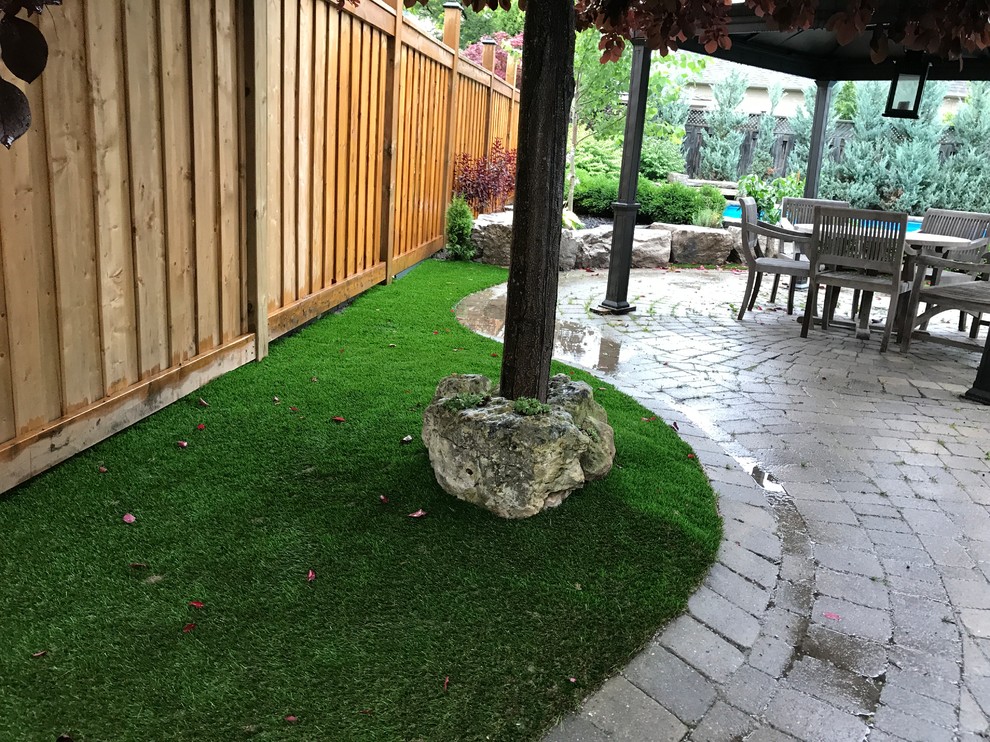 Diseño de jardín de secano contemporáneo de tamaño medio en patio trasero