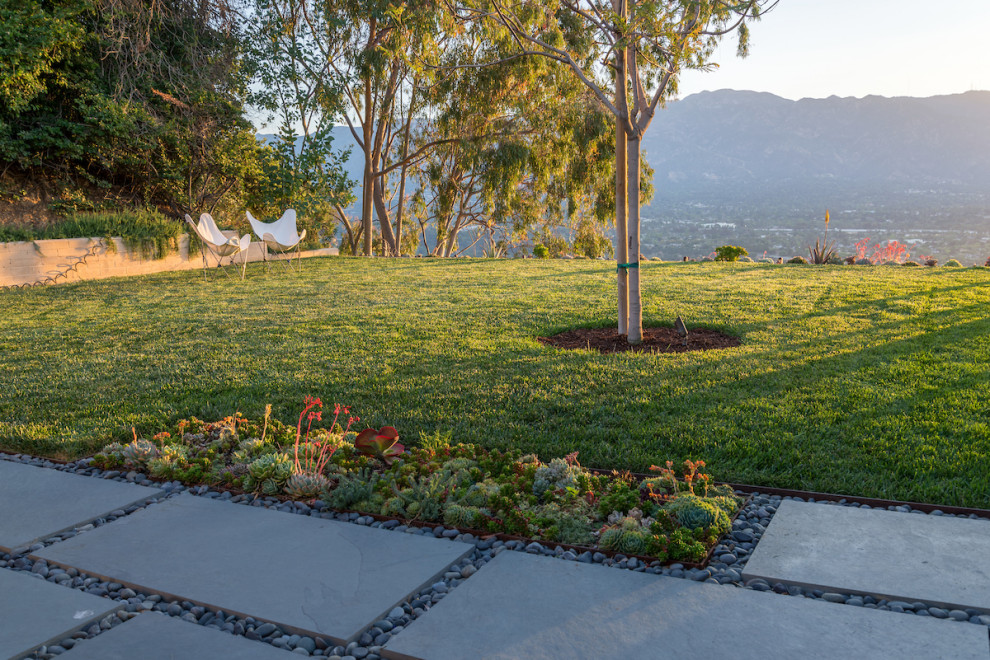 Mittelgroßer Moderner Garten hinter dem Haus mit direkter Sonneneinstrahlung und Betonboden in Los Angeles