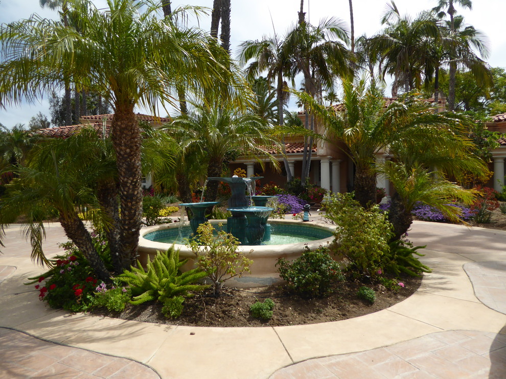Mediterranean garden in San Diego.