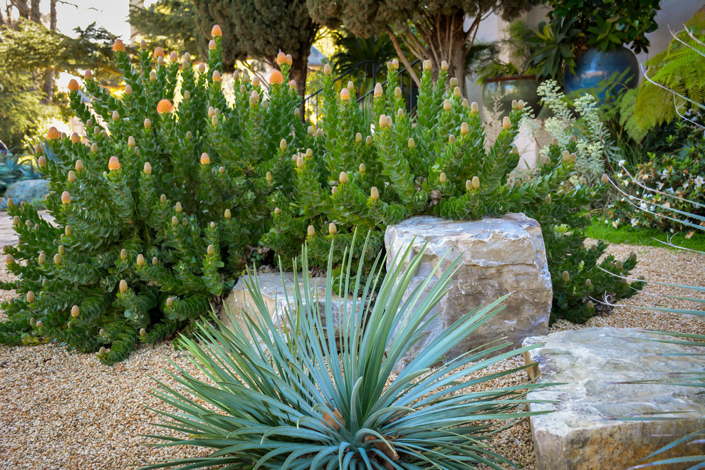 Inspiration for a mid-sized southwestern partial sun front yard gravel garden path in San Francisco for winter.