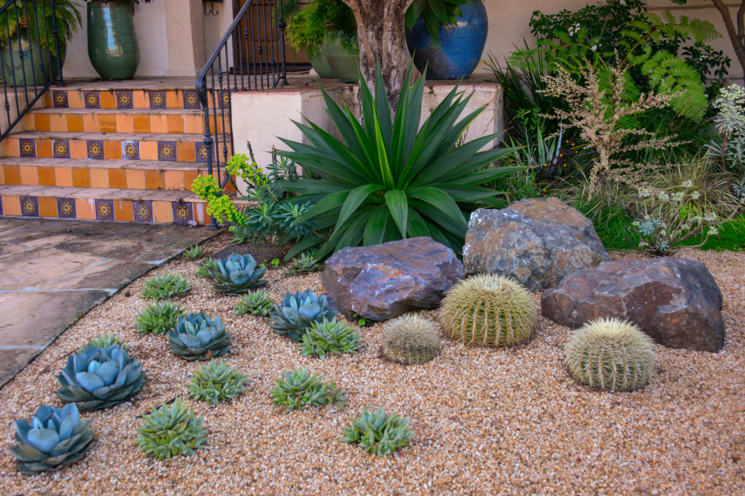 Lawn Conversion Southwestern, Rock And Rose Landscaping