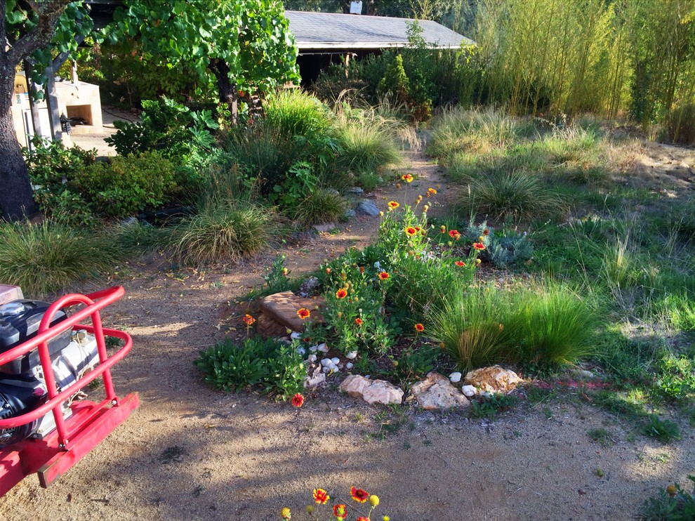 Стильный дизайн: солнечный, весенний засухоустойчивый сад среднего размера на заднем дворе в стиле рустика с садовой дорожкой или калиткой, хорошей освещенностью и покрытием из гравия - последний тренд