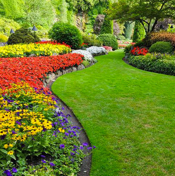 Свежая идея для дизайна: солнечный участок и сад среднего размера на заднем дворе с садовой дорожкой или калиткой, хорошей освещенностью и мульчированием - отличное фото интерьера