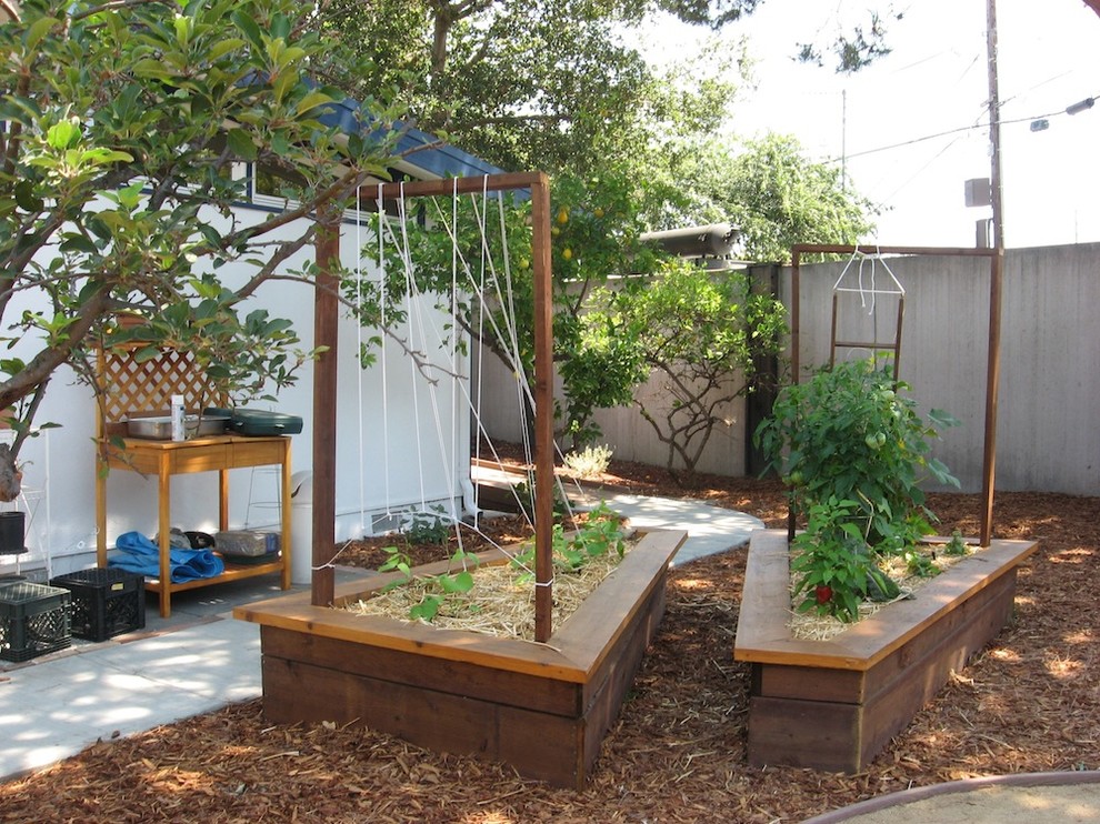 Diseño de jardín actual de tamaño medio en patio delantero con huerto, exposición parcial al sol y gravilla