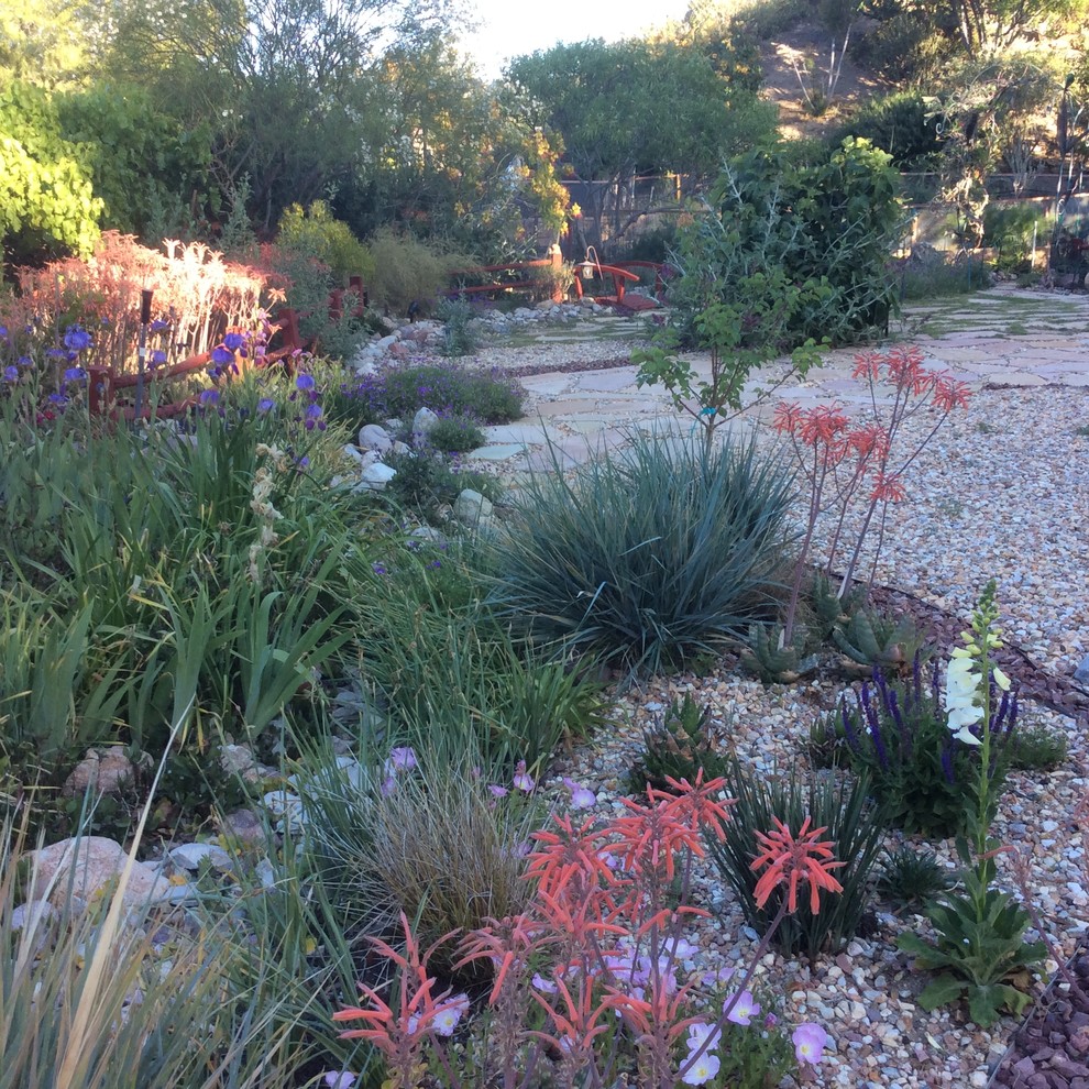 Foto di un giardino xeriscape stile rurale esposto in pieno sole davanti casa con ghiaia