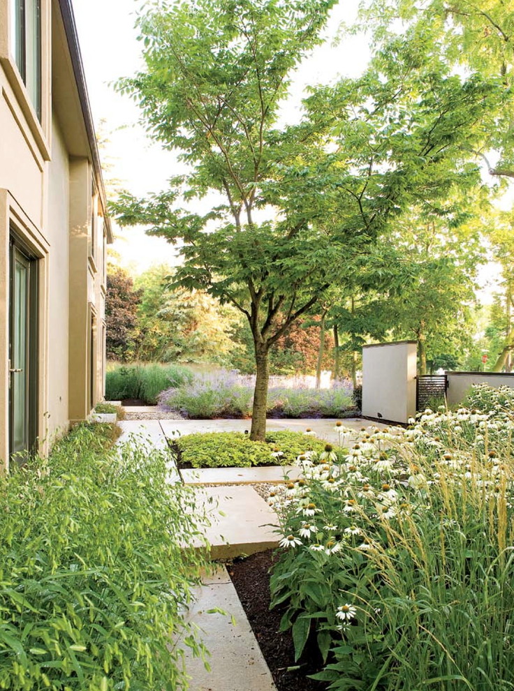 Inspiration for a contemporary landscaping in Toronto.