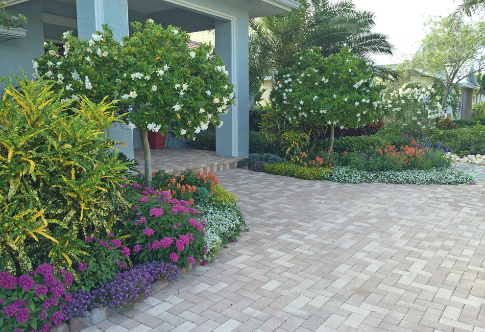 Layered flower beds - Beach Style - Landscape - Tampa - by Siobhan's ...