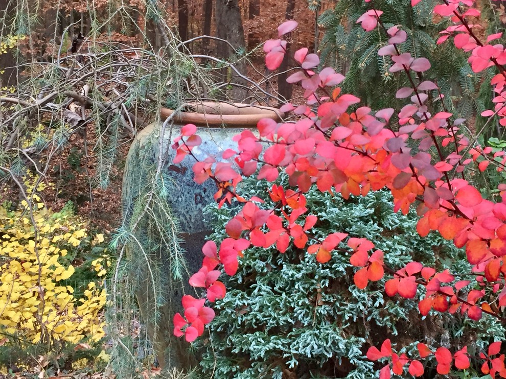 シャーロットにあるエクレクティックスタイルのおしゃれな庭の写真