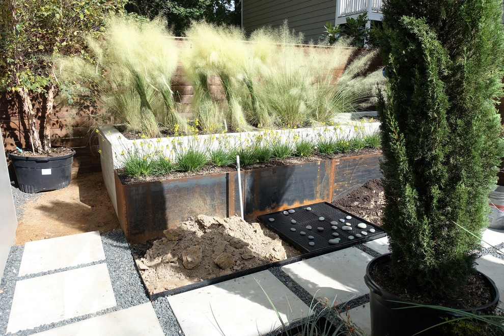 Modelo de jardín de secano actual pequeño en patio trasero con exposición total al sol