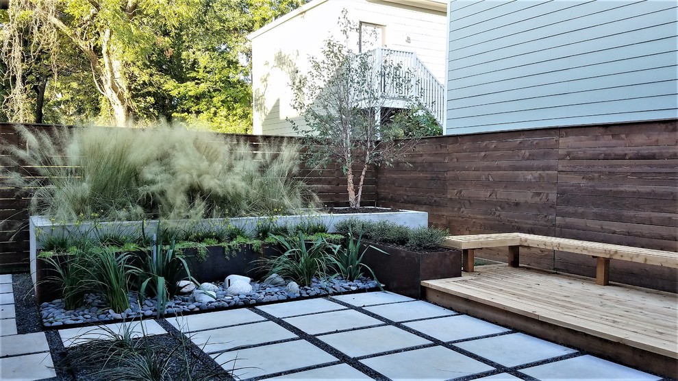 Свежая идея для дизайна: маленький солнечный засухоустойчивый сад на заднем дворе в современном стиле с хорошей освещенностью для на участке и в саду - отличное фото интерьера