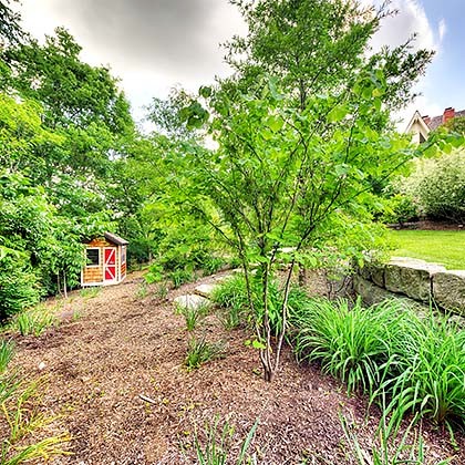 Foto di un grande giardino rustico esposto a mezz'ombra dietro casa in estate con un ingresso o sentiero e pacciame