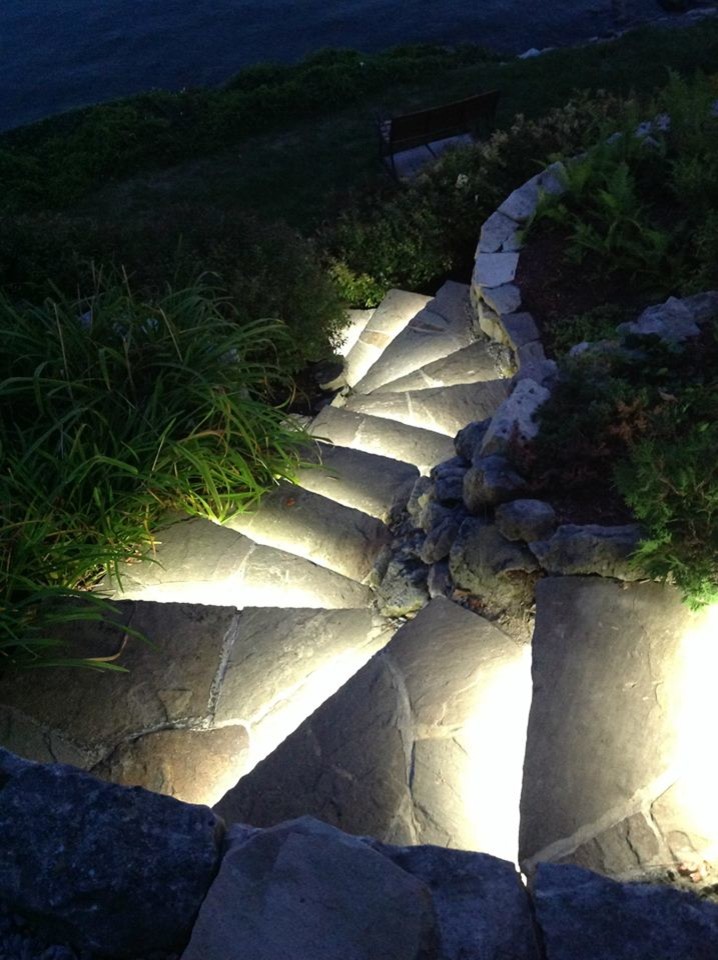 Mittelgroßer Mediterraner Garten hinter dem Haus mit Mulch in Toronto