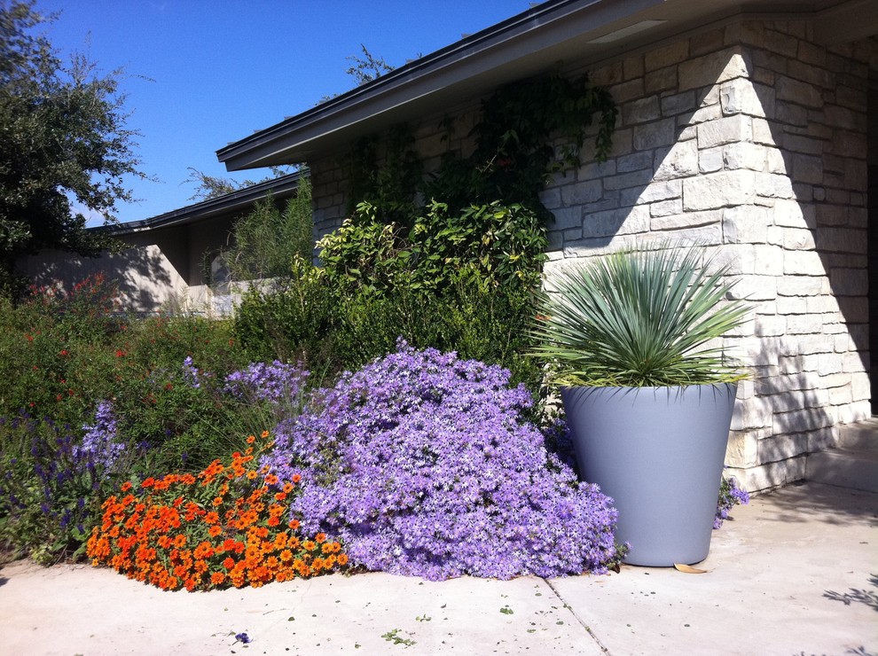 Inspiration for a contemporary landscaping in Dallas.