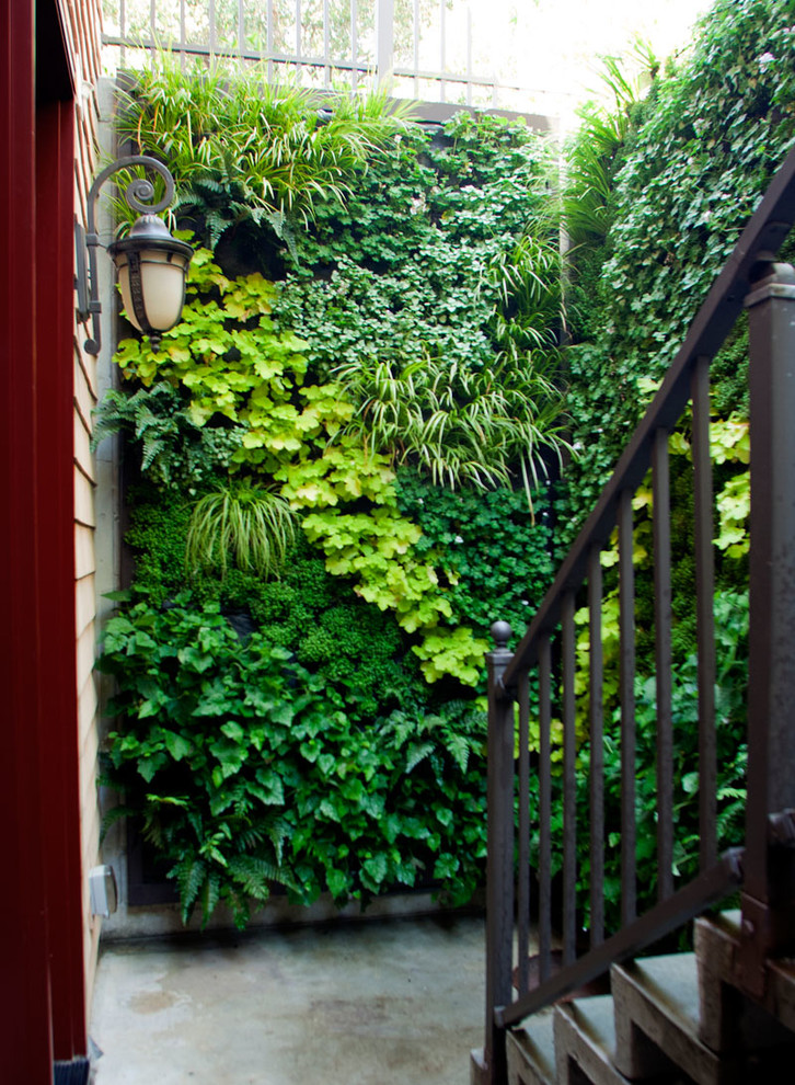 Inspiration for a medium sized mediterranean back formal garden in San Francisco with a living wall.