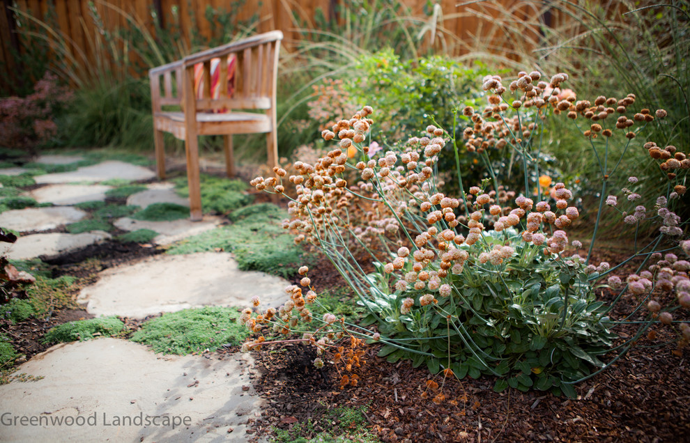 Источник вдохновения для домашнего уюта: маленький регулярный сад на переднем дворе в стиле фьюжн с полуденной тенью и покрытием из каменной брусчатки для на участке и в саду