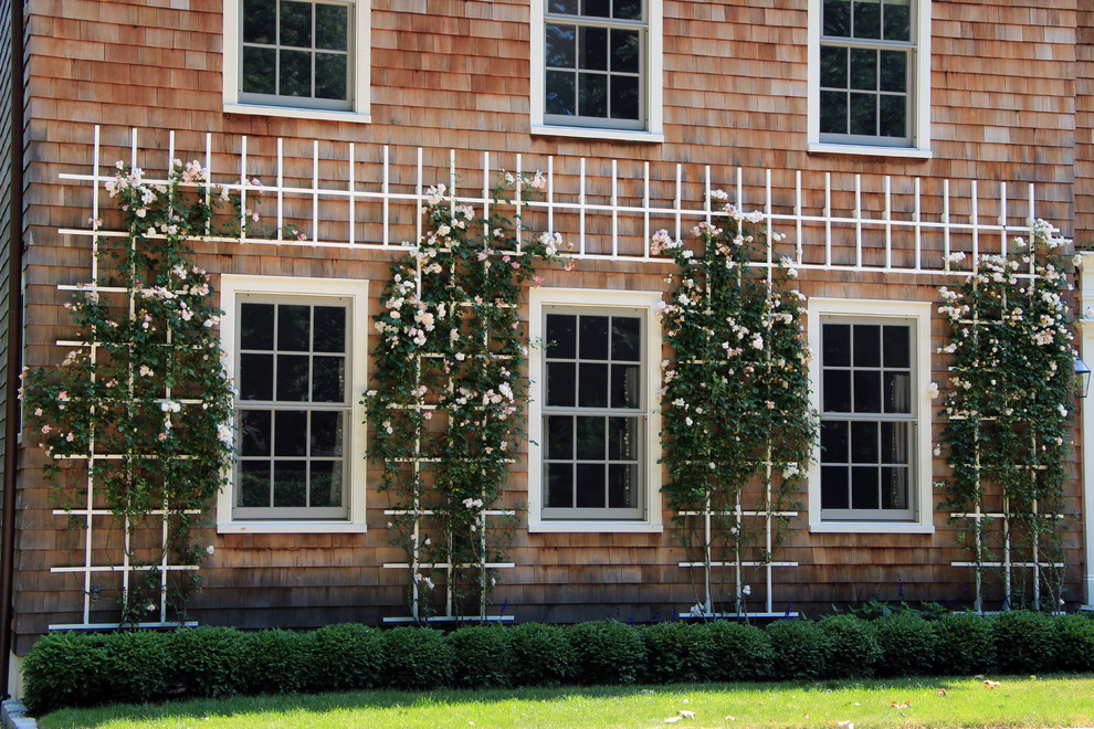 Modelo de jardín tradicional con jardín vertical