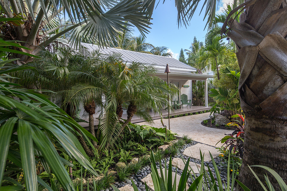 Idee per un grande giardino tropicale nel cortile laterale