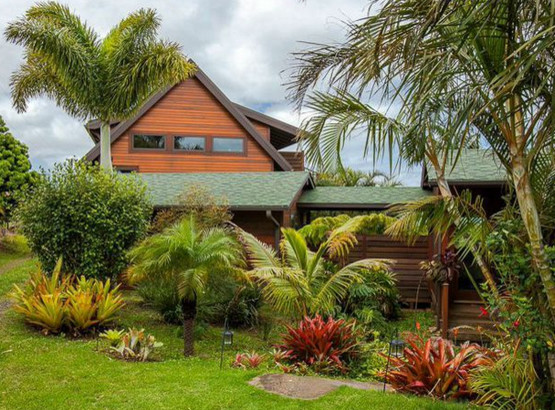 Esempio di un piccolo giardino tropicale esposto a mezz'ombra nel cortile laterale con un ingresso o sentiero e pacciame