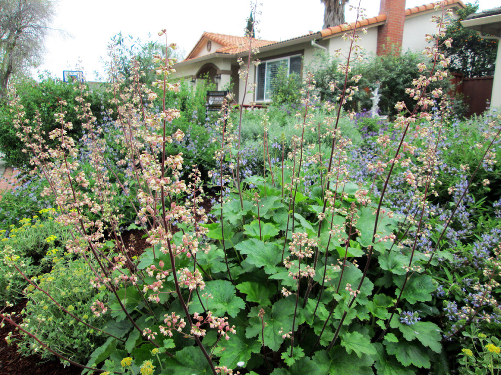 This is an example of a rustic garden in San Francisco.