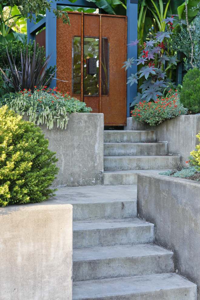 Inspiration for a contemporary garden in Portland with a retaining wall.