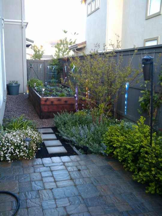 Photo of a mediterranean side yard gravel vegetable garden landscape in Sacramento.