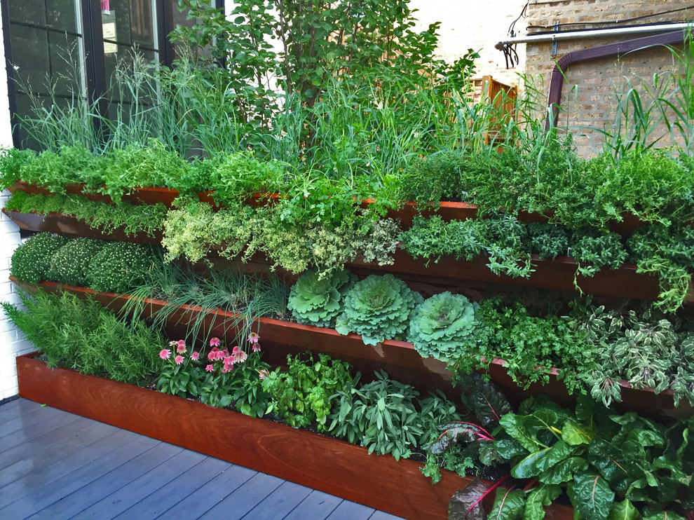 Inspiration for a small contemporary roof full sun garden in Chicago with a vegetable patch.