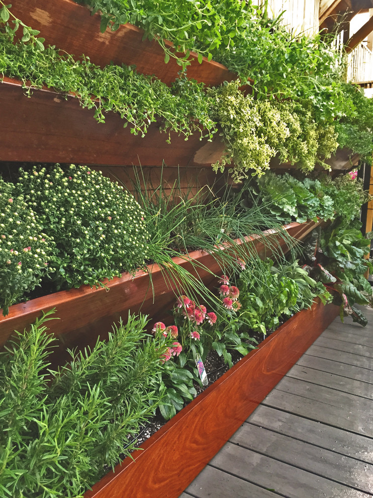 Идея дизайна: маленький солнечный огород на участке на крыше в современном стиле с хорошей освещенностью для на участке и в саду
