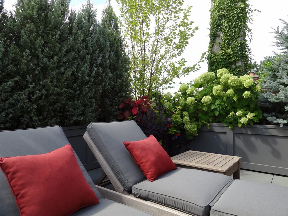 Esempio di un giardino minimal esposto in pieno sole di medie dimensioni e in cortile in primavera con un ingresso o sentiero e pavimentazioni in cemento