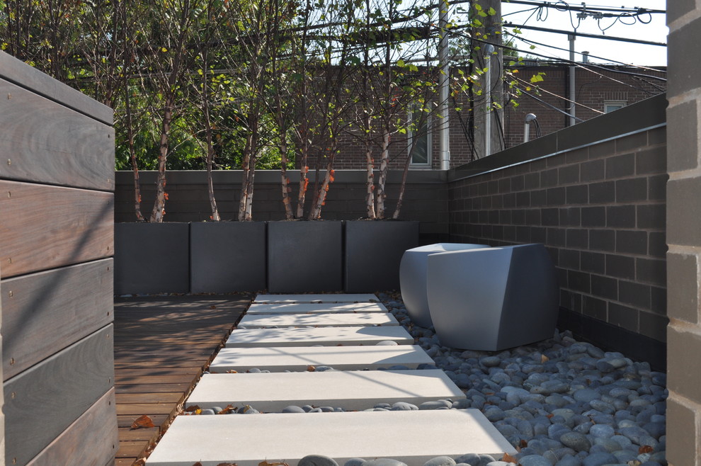 This is an example of a contemporary garden in Chicago.