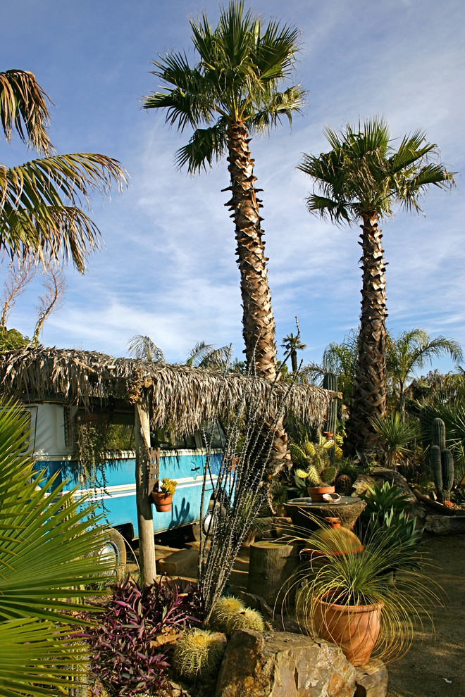 Design ideas for a tropical xeriscape in San Francisco.