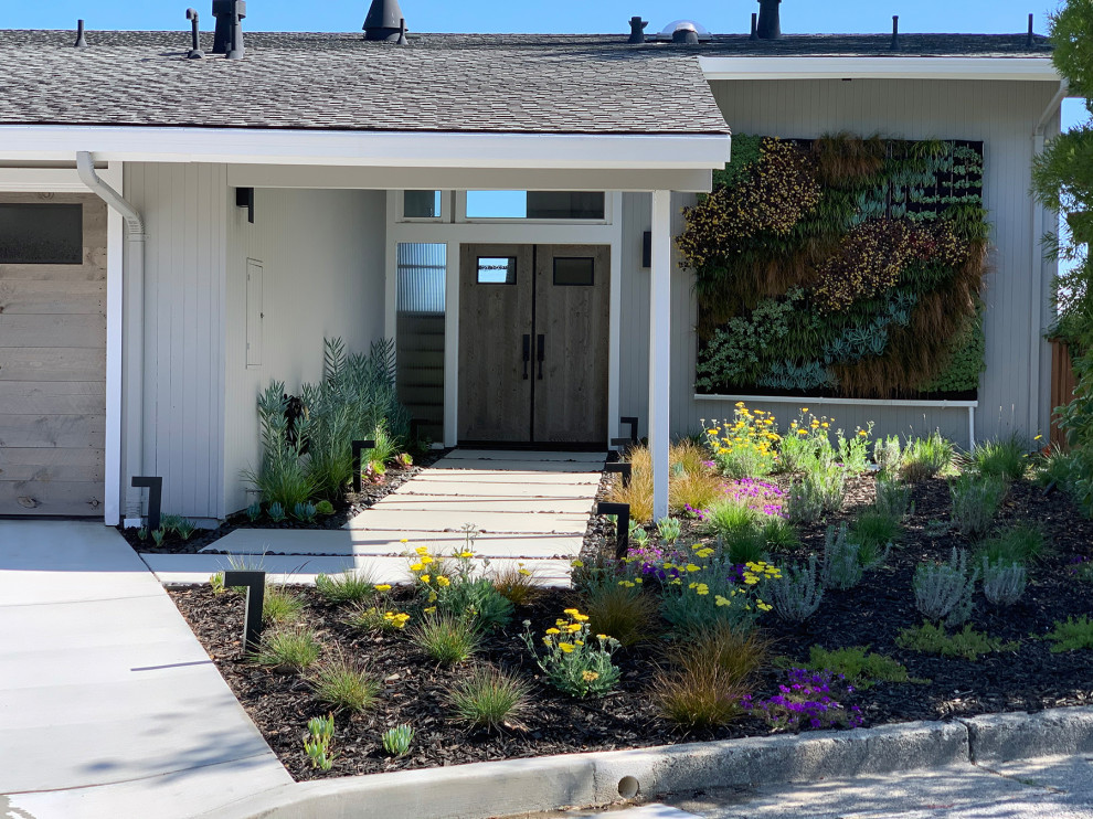 Foto di un giardino minimalista esposto a mezz'ombra di medie dimensioni e davanti casa in primavera con pavimentazioni in cemento
