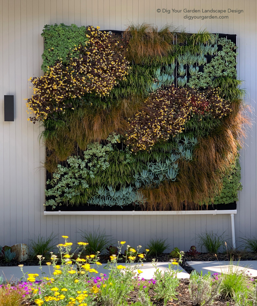 Ispirazione per un giardino xeriscape minimalista esposto in pieno sole di medie dimensioni e davanti casa in estate con pavimentazioni in cemento