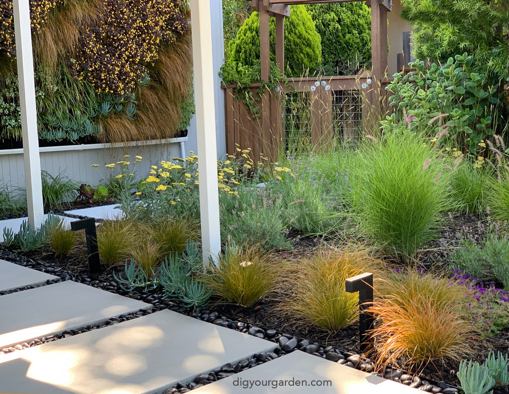 Idee per un giardino xeriscape minimalista esposto a mezz'ombra davanti casa in primavera con un ingresso o sentiero e pavimentazioni in cemento