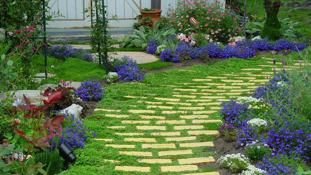 Photo of an eclectic landscaping in Los Angeles.