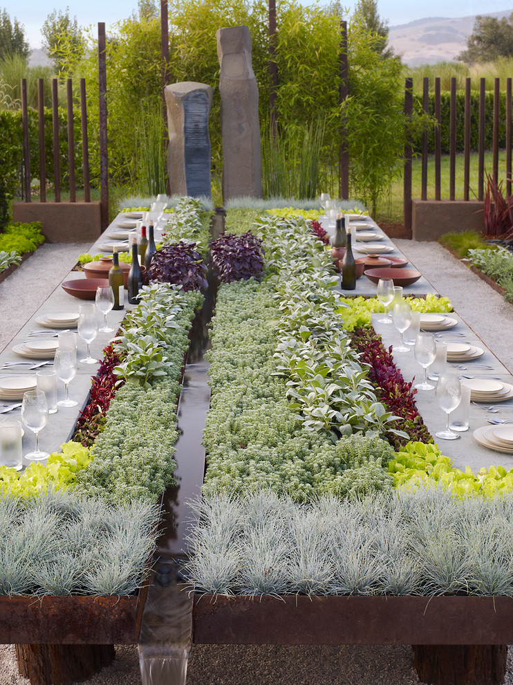 Идея дизайна: весенний регулярный сад среднего размера на заднем дворе в современном стиле с растениями в контейнерах, полуденной тенью и покрытием из гравия