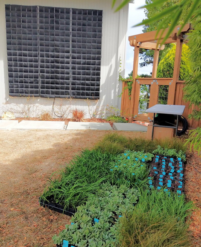 Idee per un grande giardino xeriscape design esposto a mezz'ombra davanti casa in estate