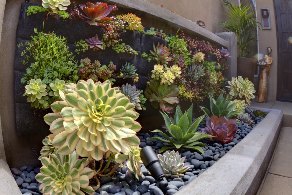 Photo of a contemporary landscaping in San Diego.