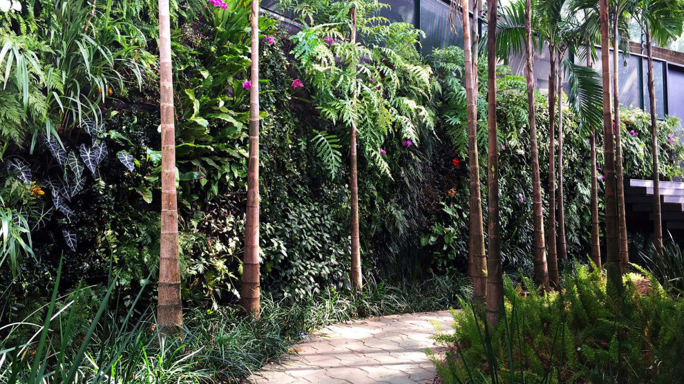 マイアミにあるラグジュアリーな巨大なモダンスタイルのおしゃれな庭 (壁面緑化、半日向、デッキ材舗装) の写真