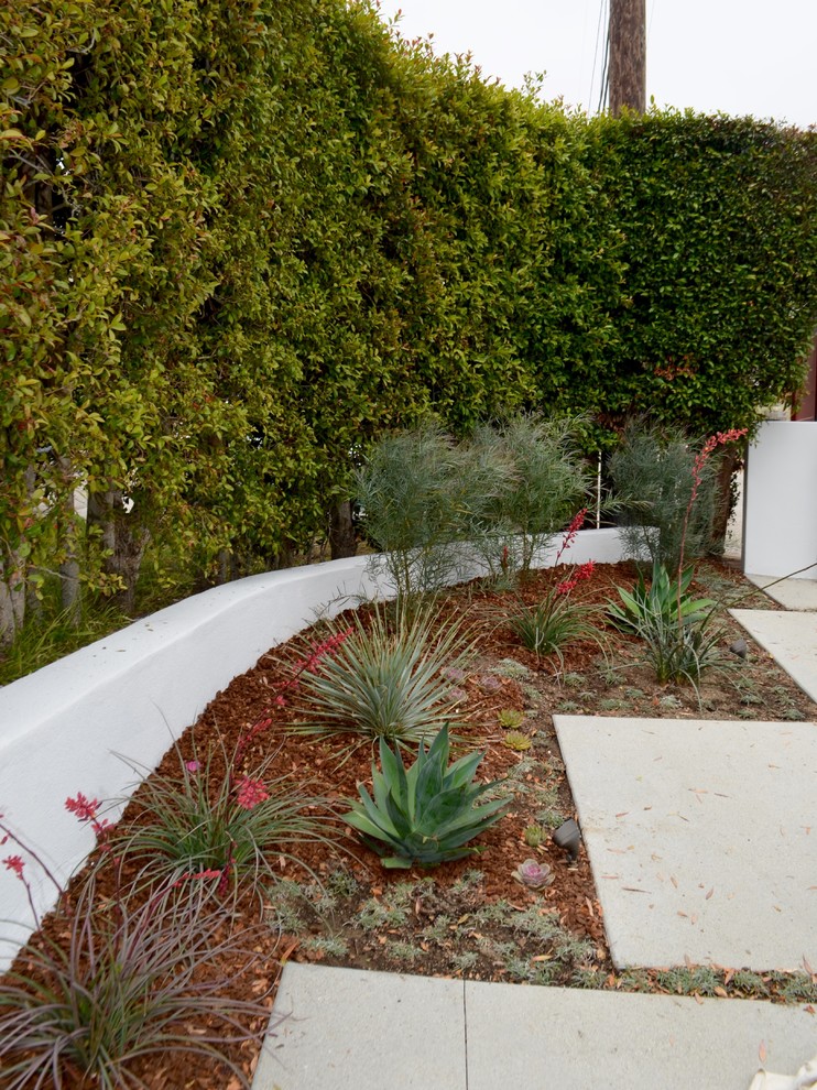 Immagine di un grande giardino xeriscape minimal davanti casa con pacciame
